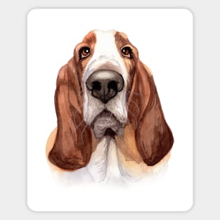 Basset Sticker